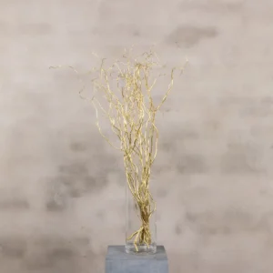 10 gouden wilgentakken 70 cm