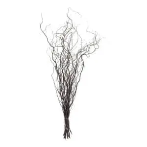 10 kronkelwilgtakken-naturel-70-cm