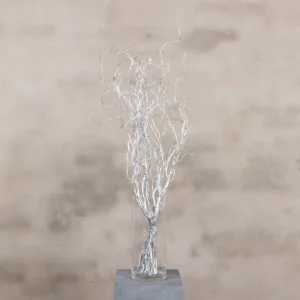 10 zilveren wilgentakken 70 cm