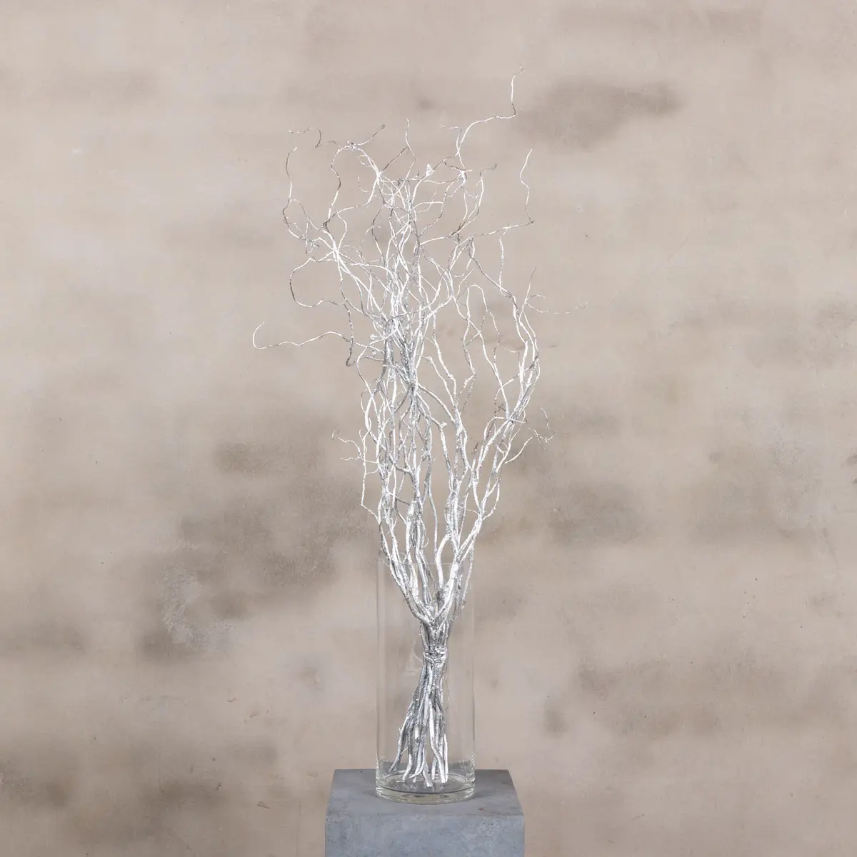 10 zilveren wilgentakken 70 cm