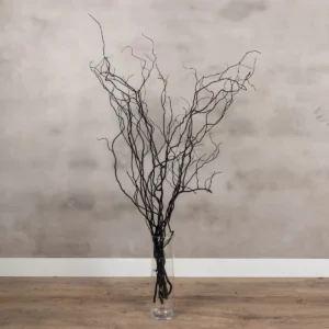 10 zwarte kronkelwilgtakken 120 cm