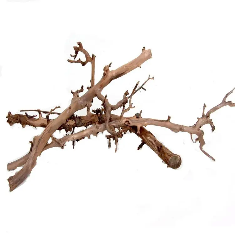 3 perentakken ontschorst