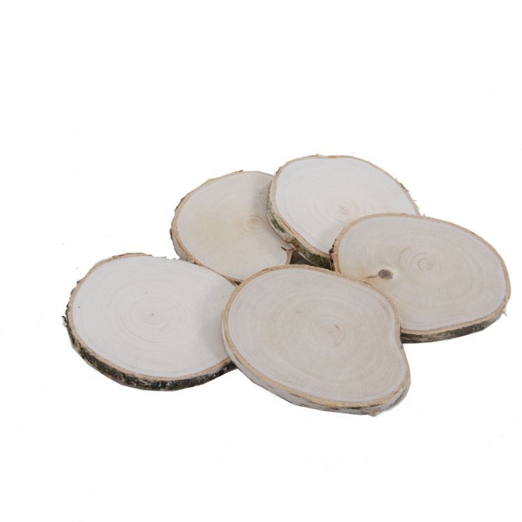 5 Houtschijfjes Berk Glad geschuurd aan een kant 12-15 cm