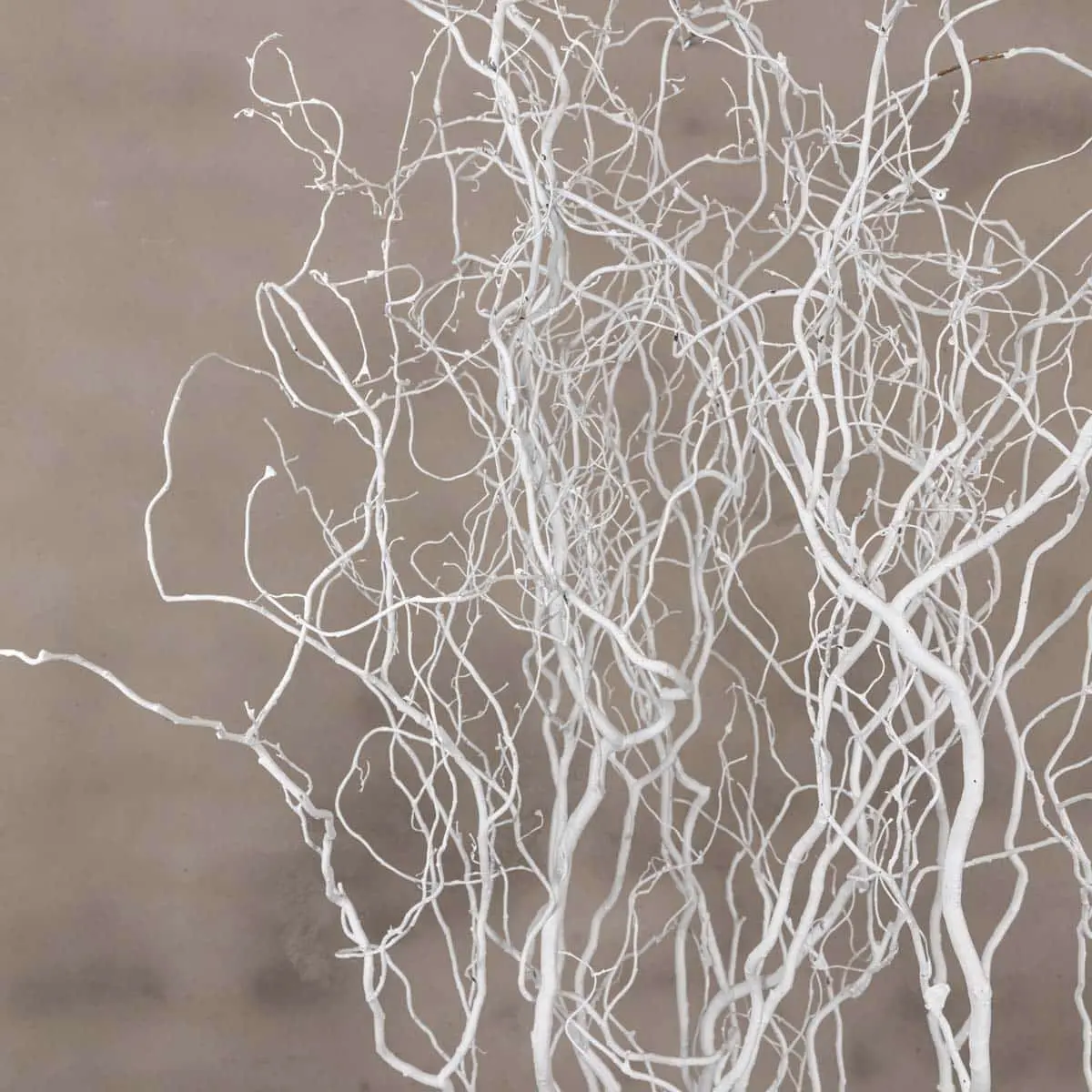 5 Kronkelwilgtakken Wit 160cm (2)