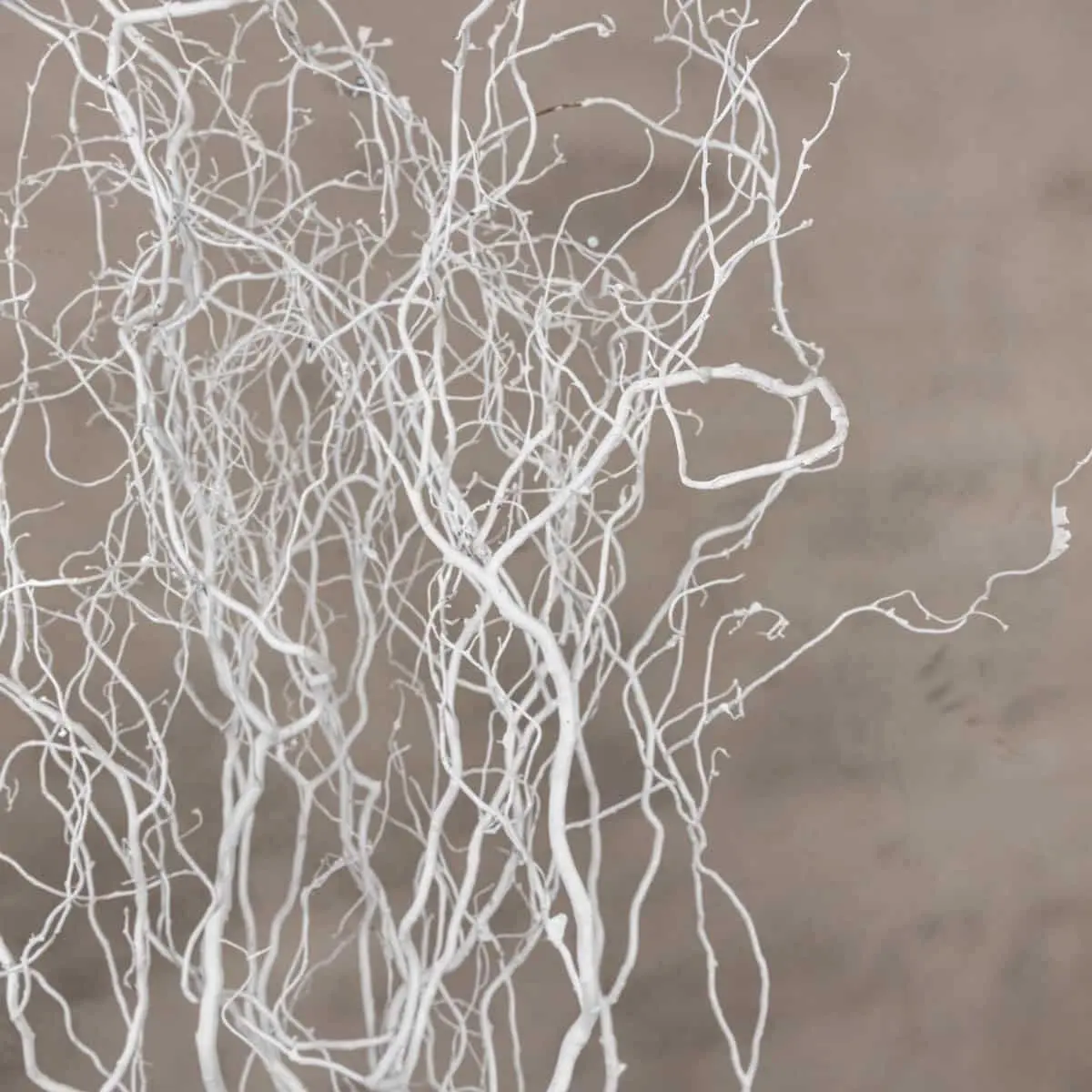 5 Kronkelwilgtakken Wit 160cm (3)