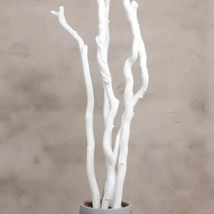 5 Robuuste Wilgentakken met pot Wit 150cm (2)