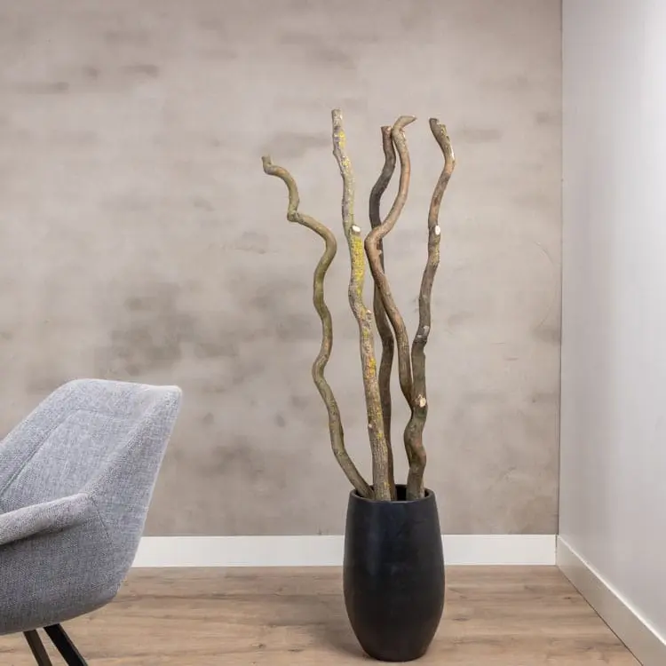 5 Robuuste Wilgentakken zonder pot 150cm (1)