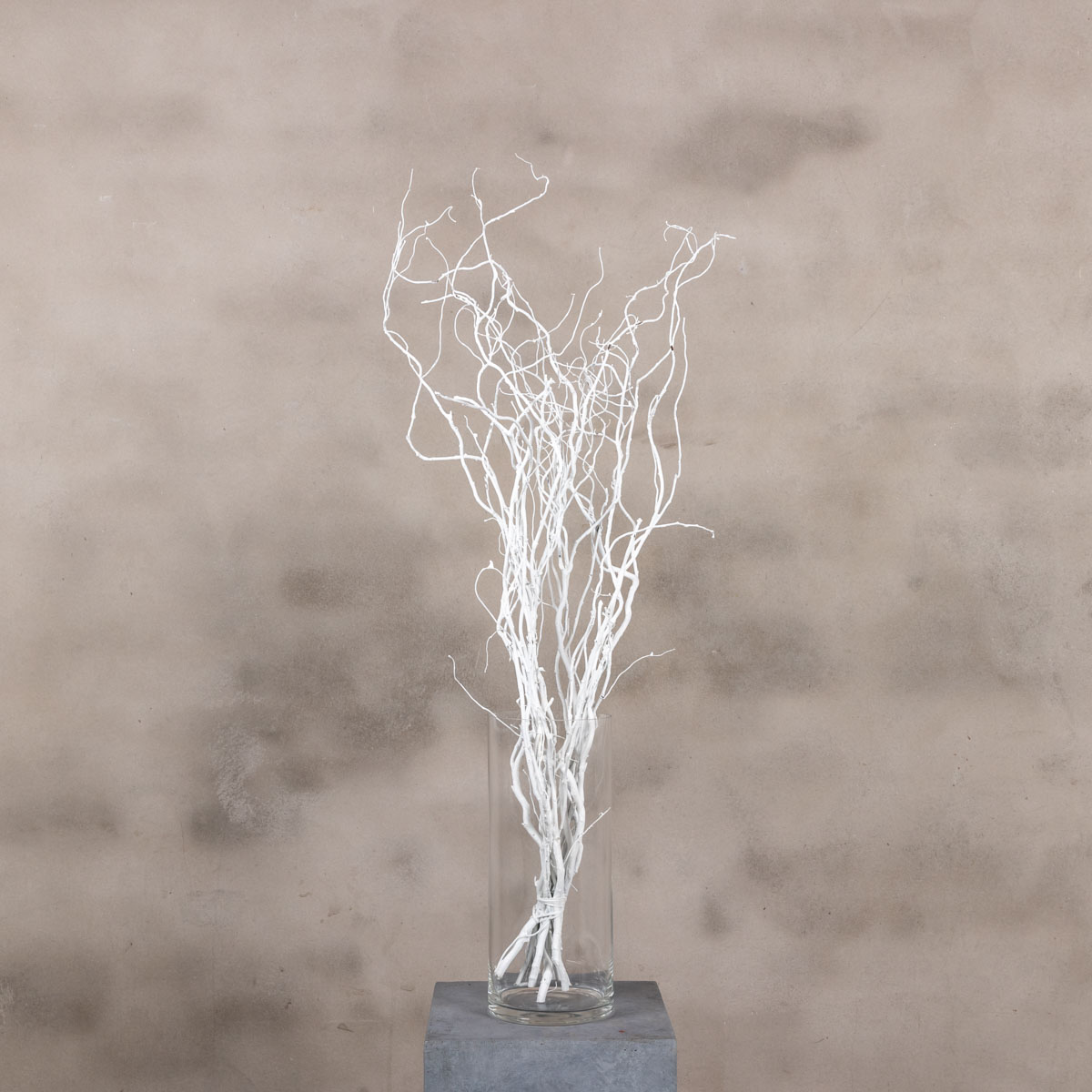 5 witte kronkelwilgtakken 70 cm