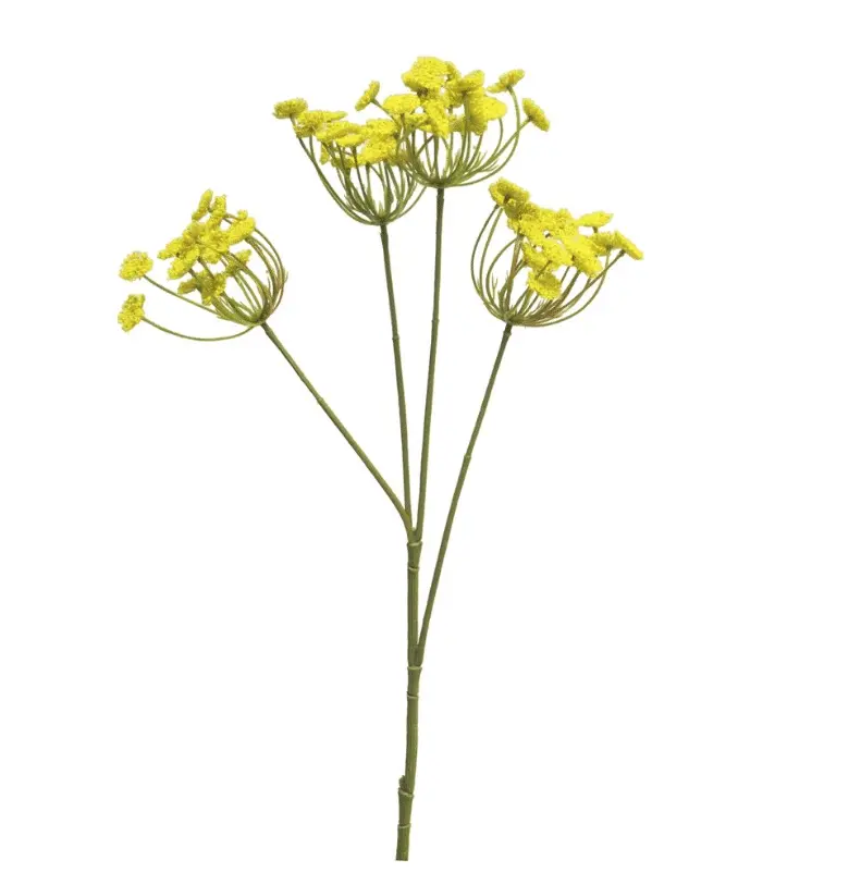 Anethum Geel 65cm