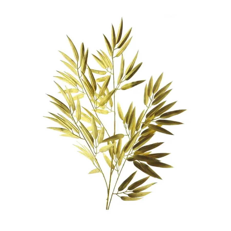 Bamboeblad Goud 90cm