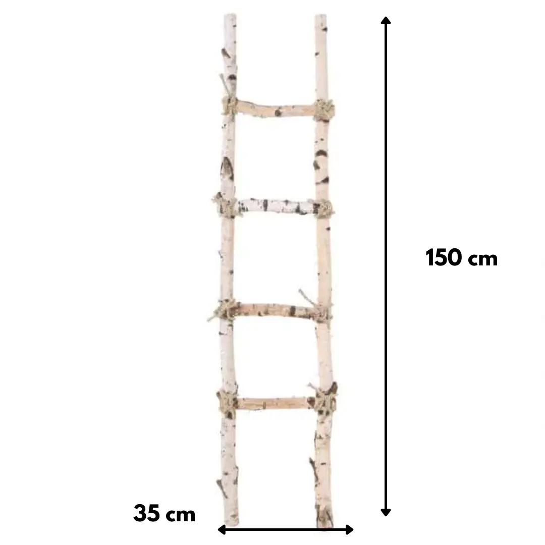 Berken Decoratieladder 150cm afmetingen