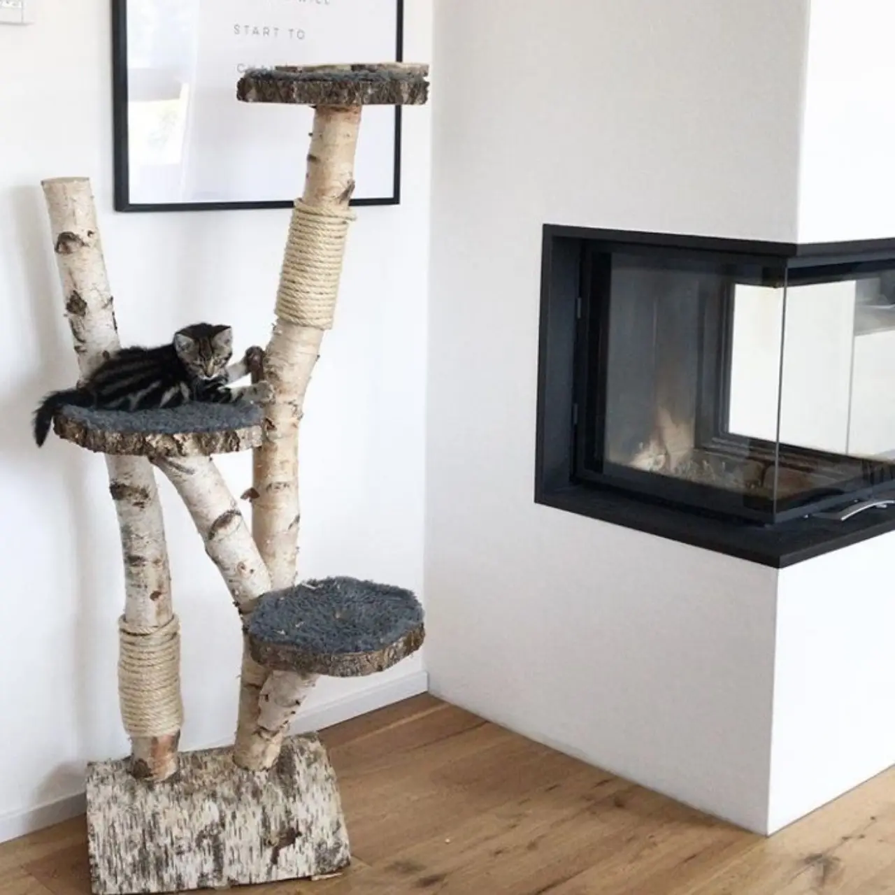 Berken Krabpaal Nala 120x80cm