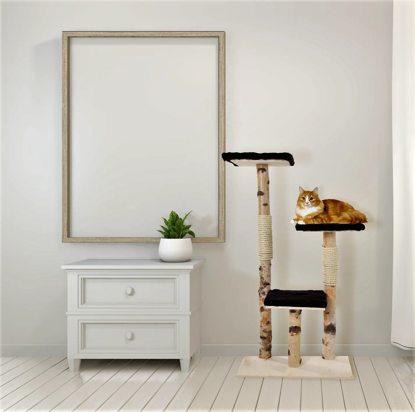 Berken Krabpaal Rocco 110x65cm