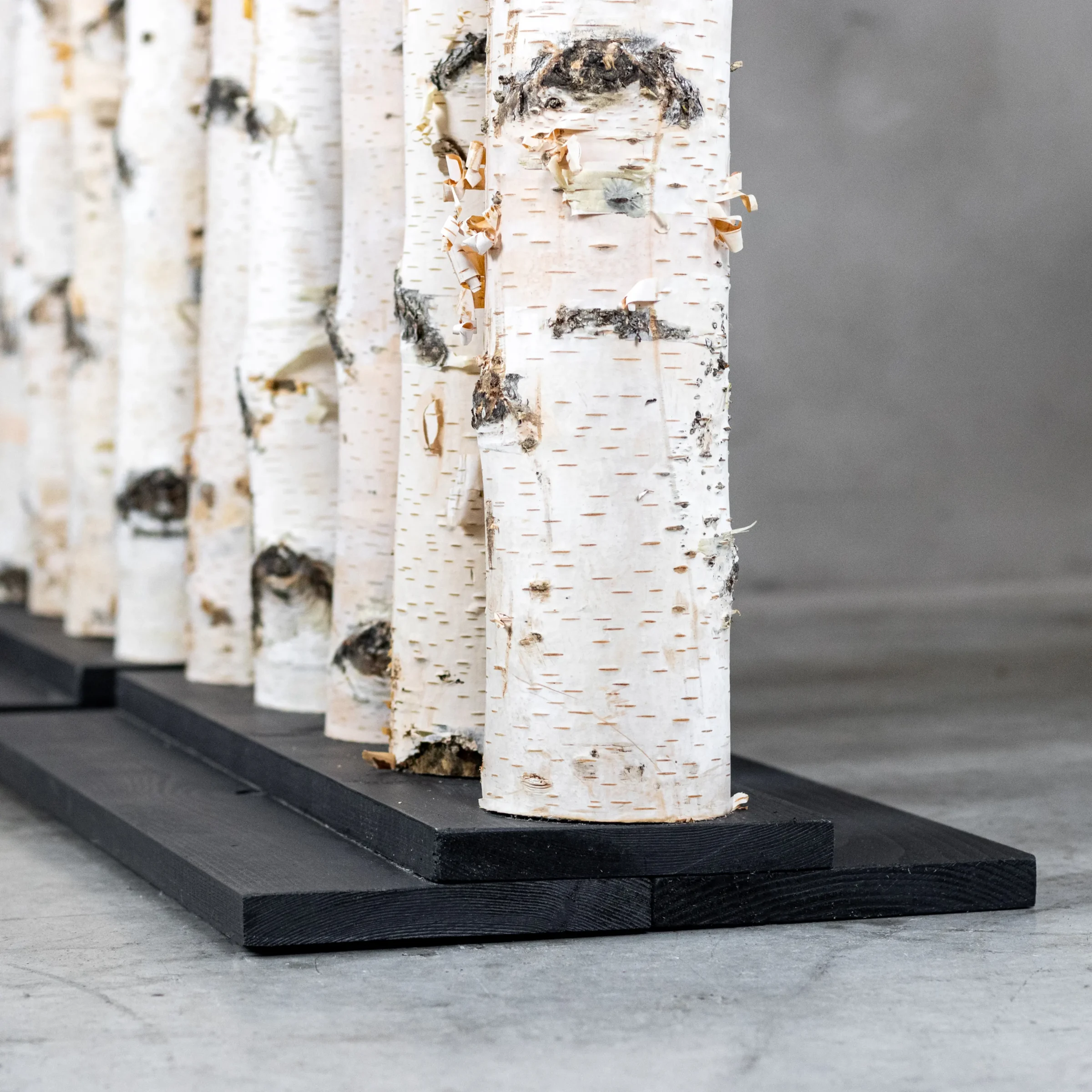 Berken Roomdivider Thor met zwarte voet, foto van voet