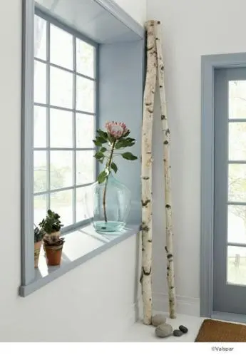 Berkenstam vanaf 175 tm 300 cm Ø 6-7cm (2)