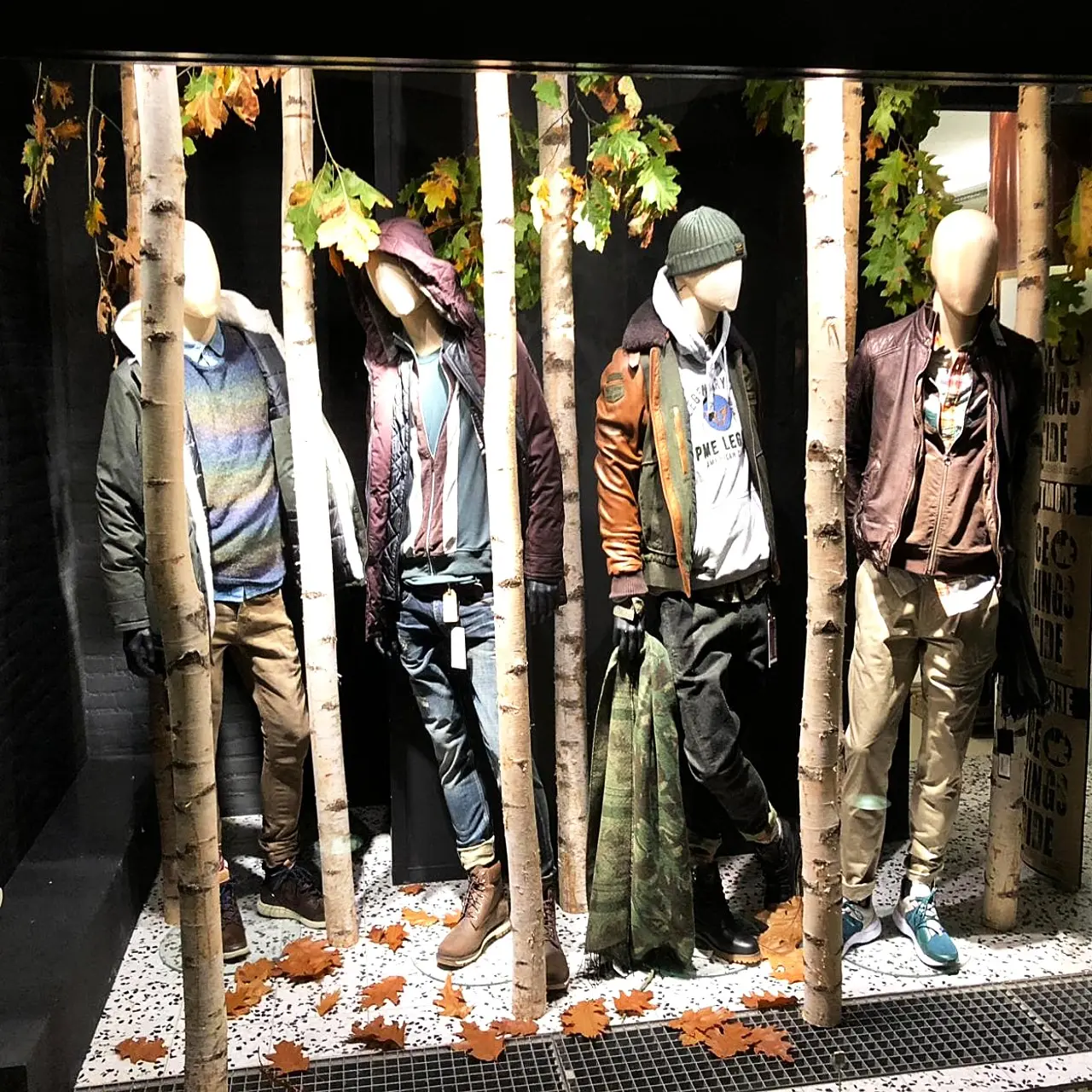 Berkenstam vanaf 175 tm 300cm Ø 10-12cm (4)