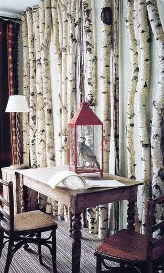 Berkenstam vanaf 175 tm 300cm Ø 8-9cm (2)