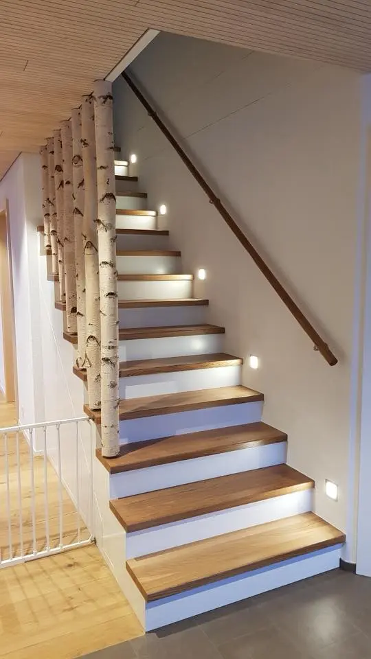 Berkenstam vanaf 50 tm 150 cm Ø 10-12cm (3)