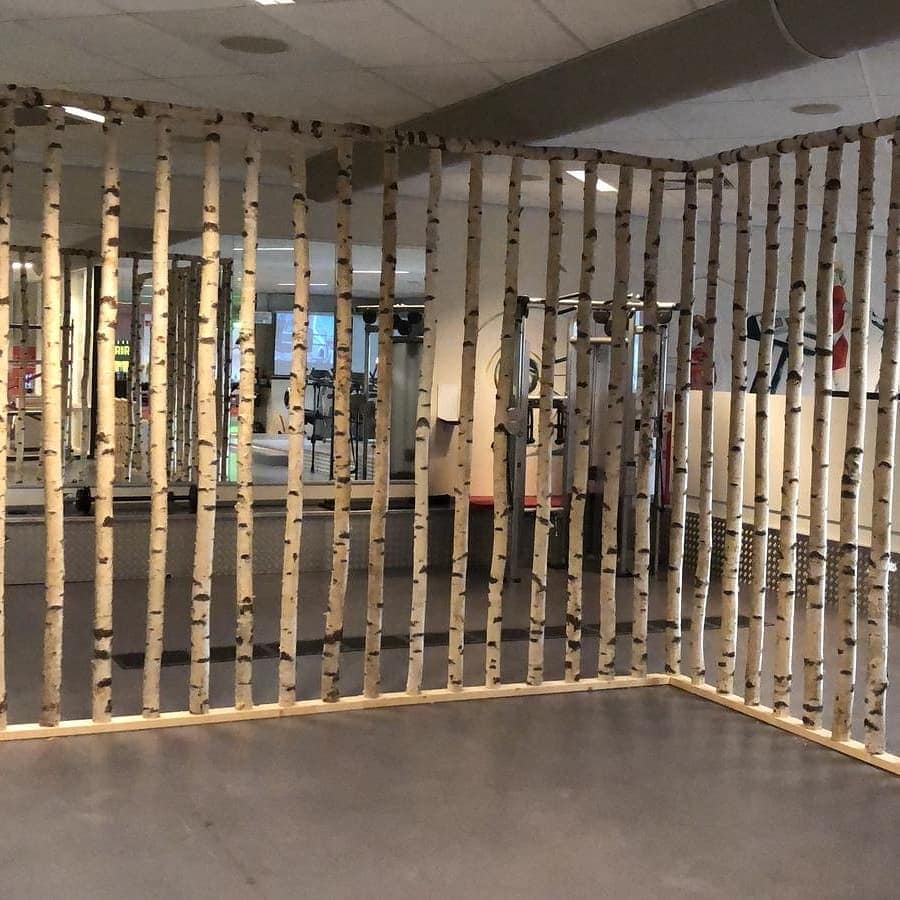 Berkenstammen fitness