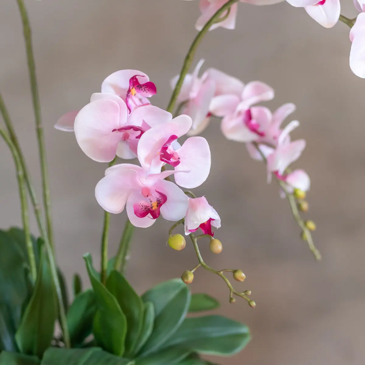 Bloemstuk Shirley 60cm (2)