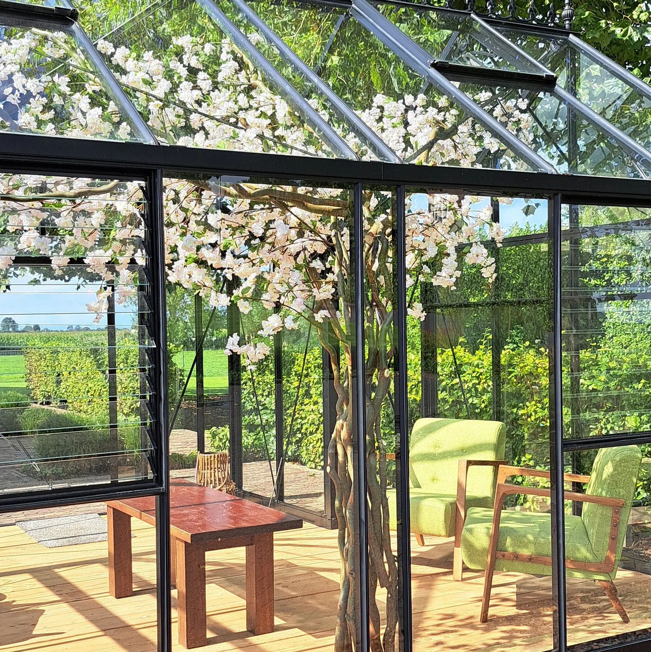 Bloesemboom in tuinkas