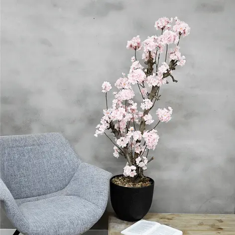 Bloesemstruik Babette Roze 100cm (3)