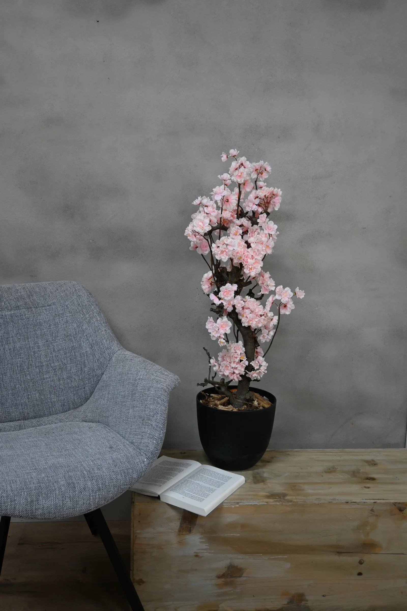 Bloesemstruik Babette Roze 70cm (2)