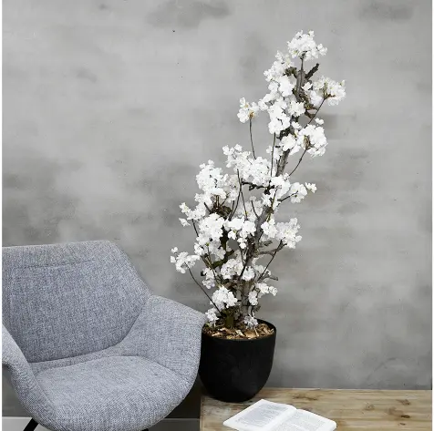 Bloesemstruik Juliette Wit 100cm