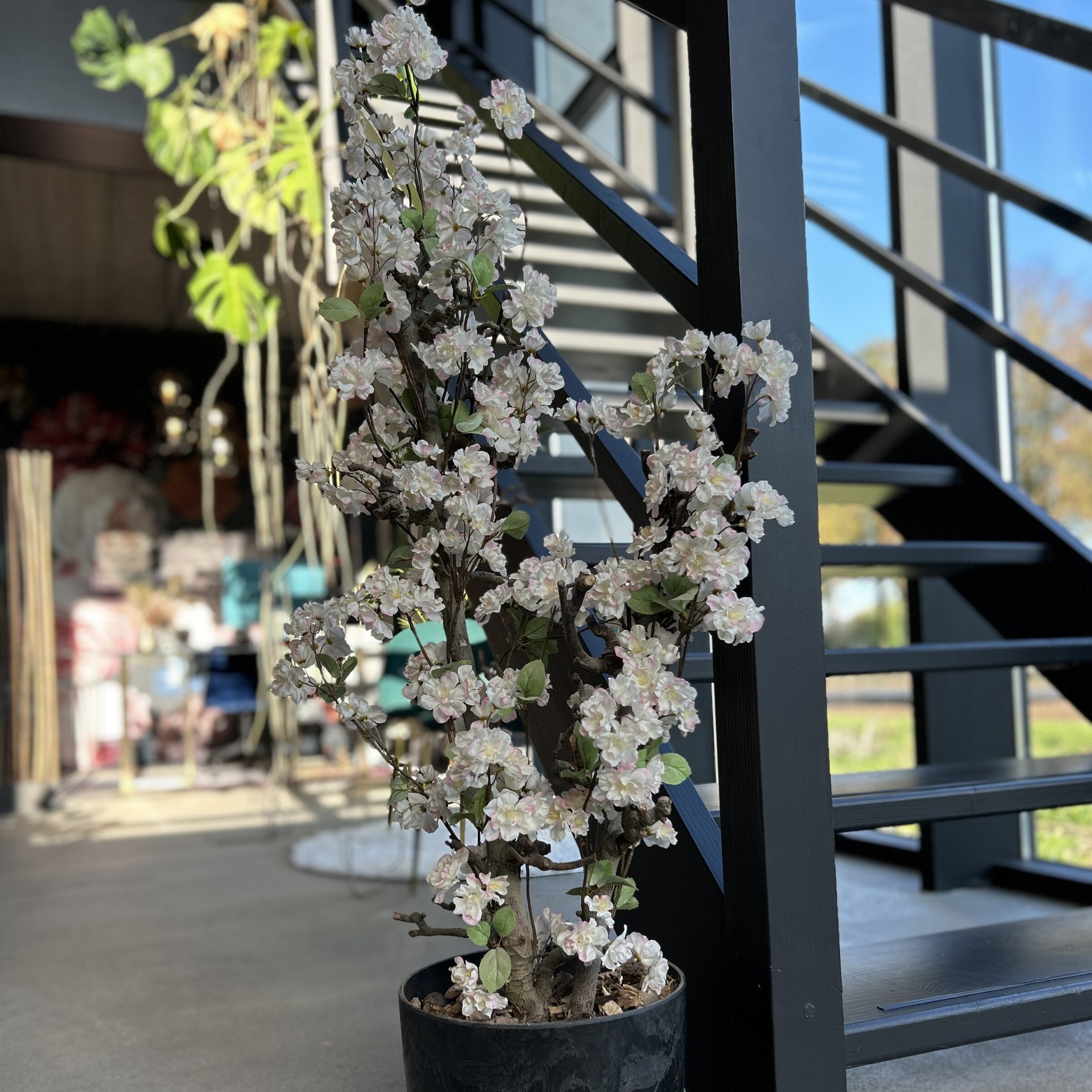 Bloesemstuk Sterre bij trap