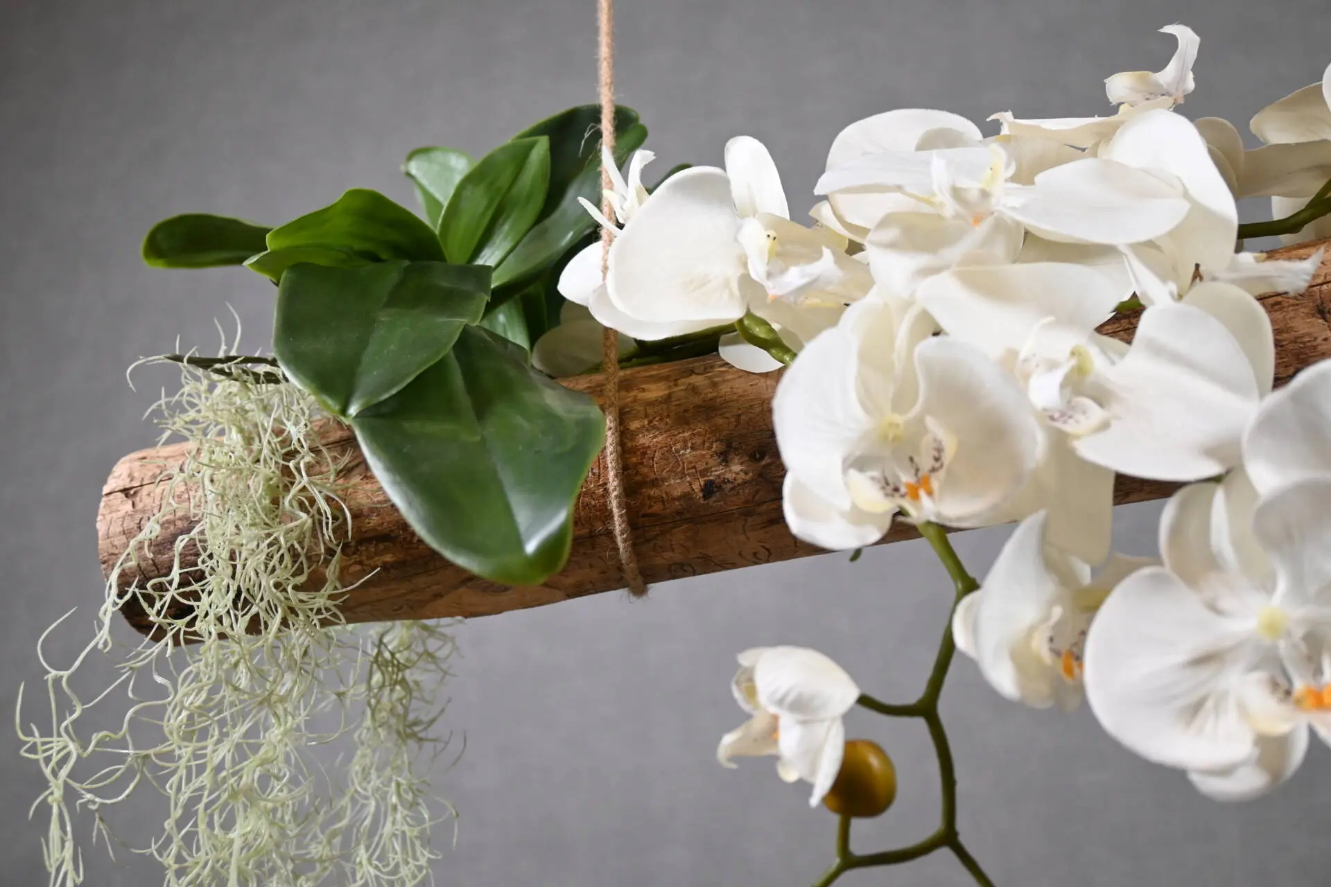 Boomstam Hanger Alvorada 150 cm (3)