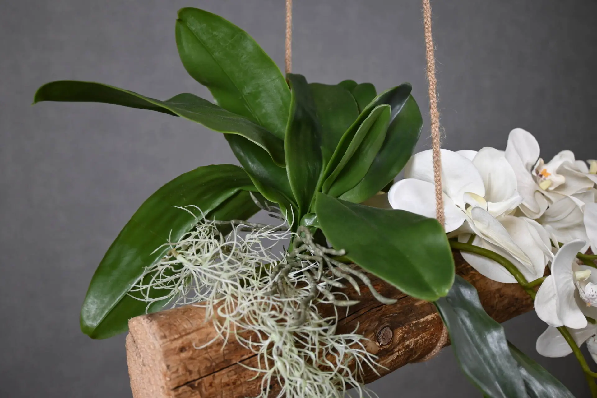 Boomstam Hanger Alvorada 150 cm (4)