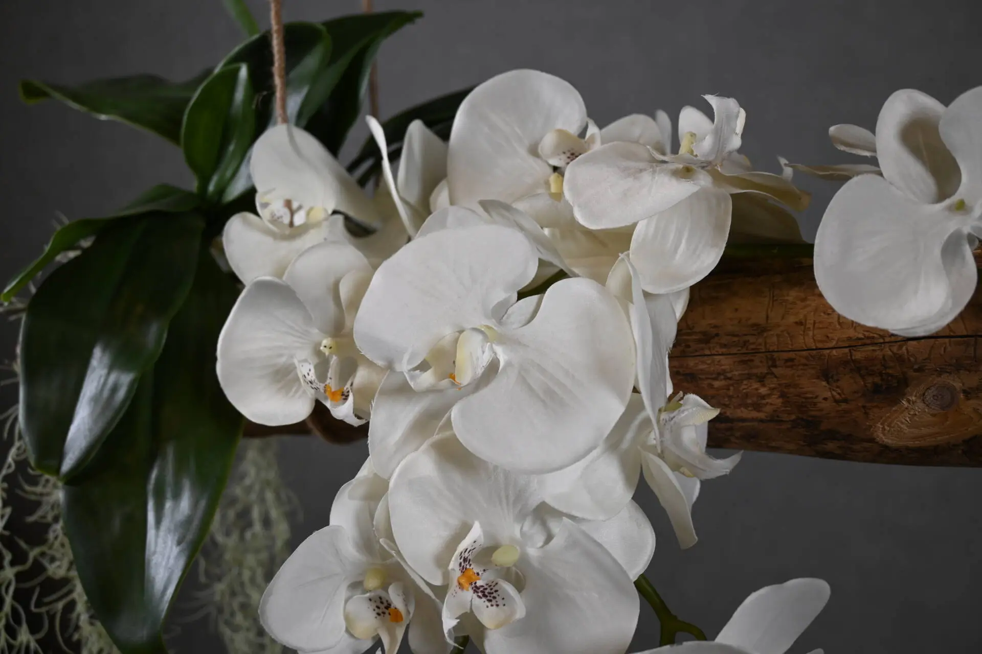 Boomstam Hanger Alvorada 150 cm (7)