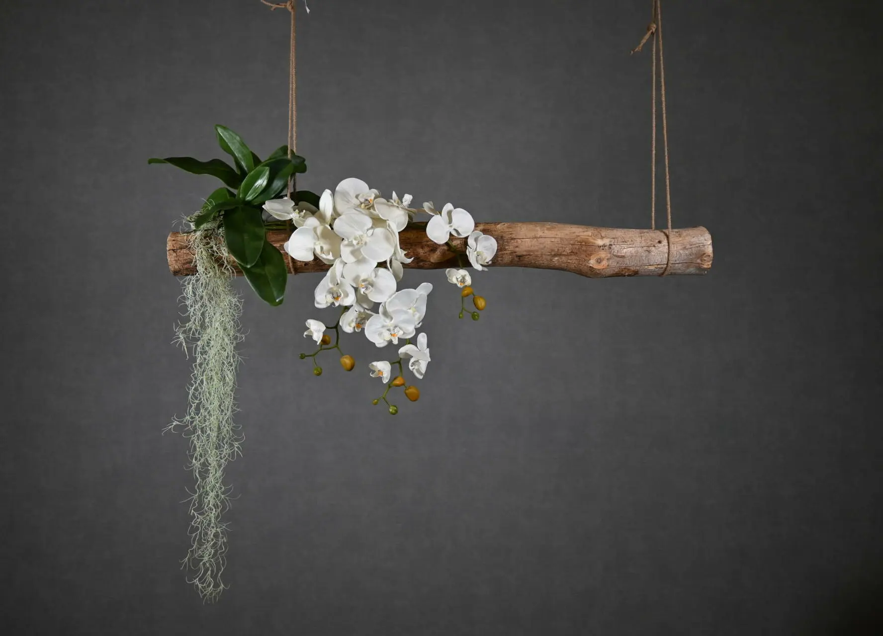 Boomstam Hanger Alvorada 150 cm