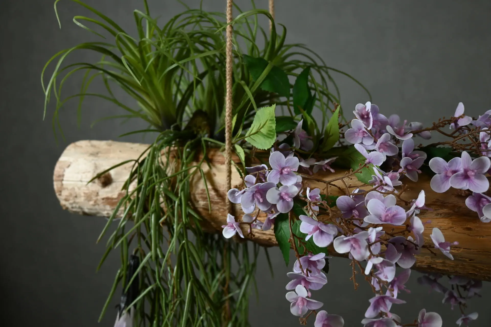 Boomstam Hanger Amarant 150 cm (5)