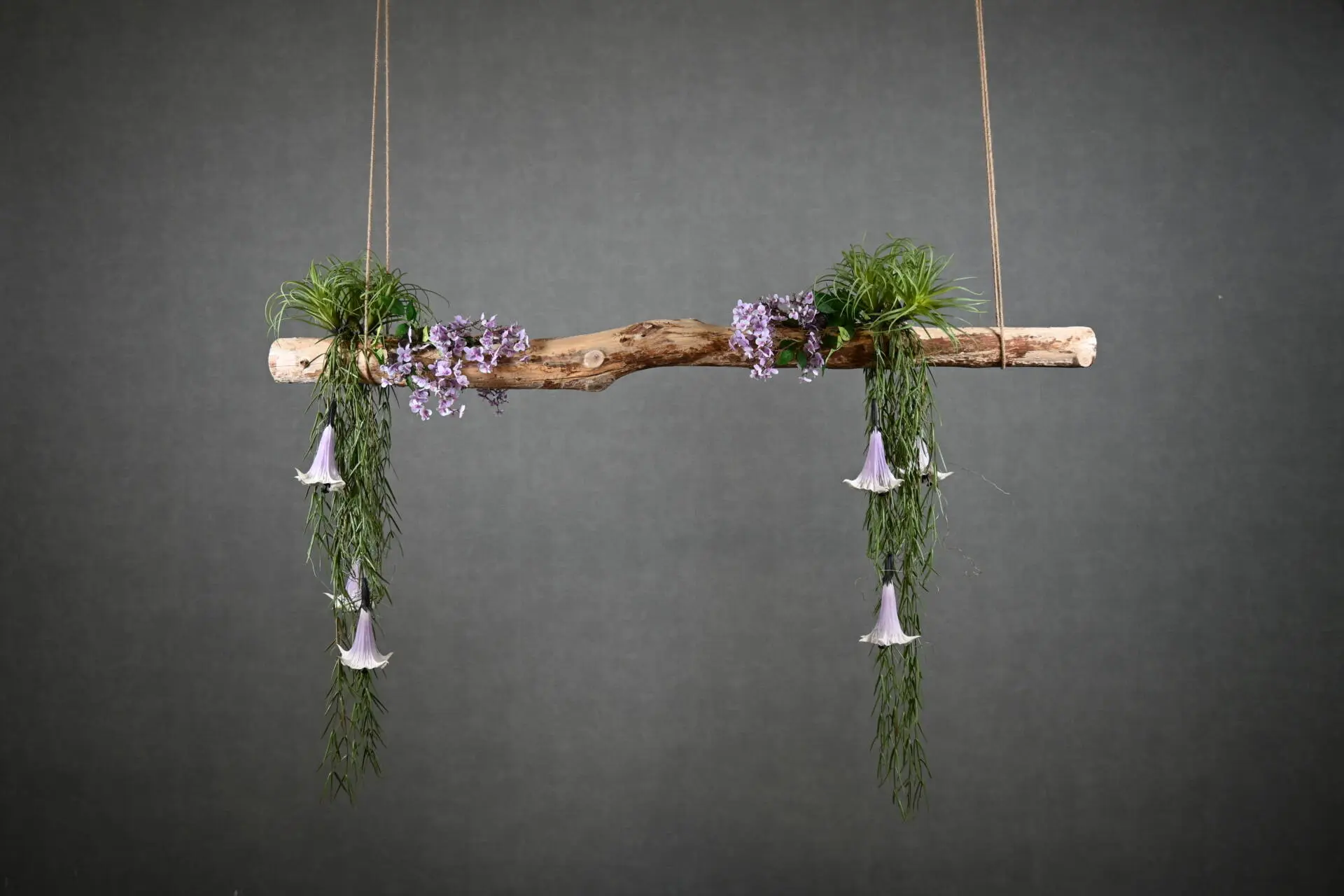 Boomstam Hanger Amarant 150 cm