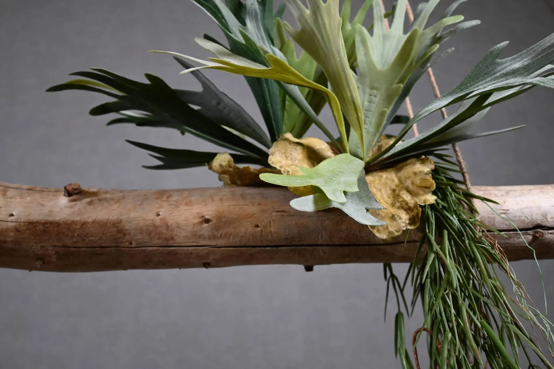 Boomstam Hanger Amargosa 150 cm (2)