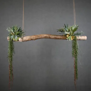 Boomstam Hanger Amargosa 150 cm