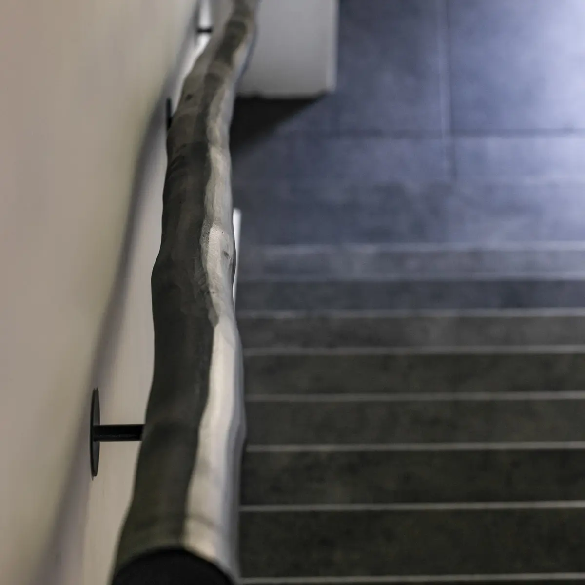 Boomstam Trapleuning Black recht (4)