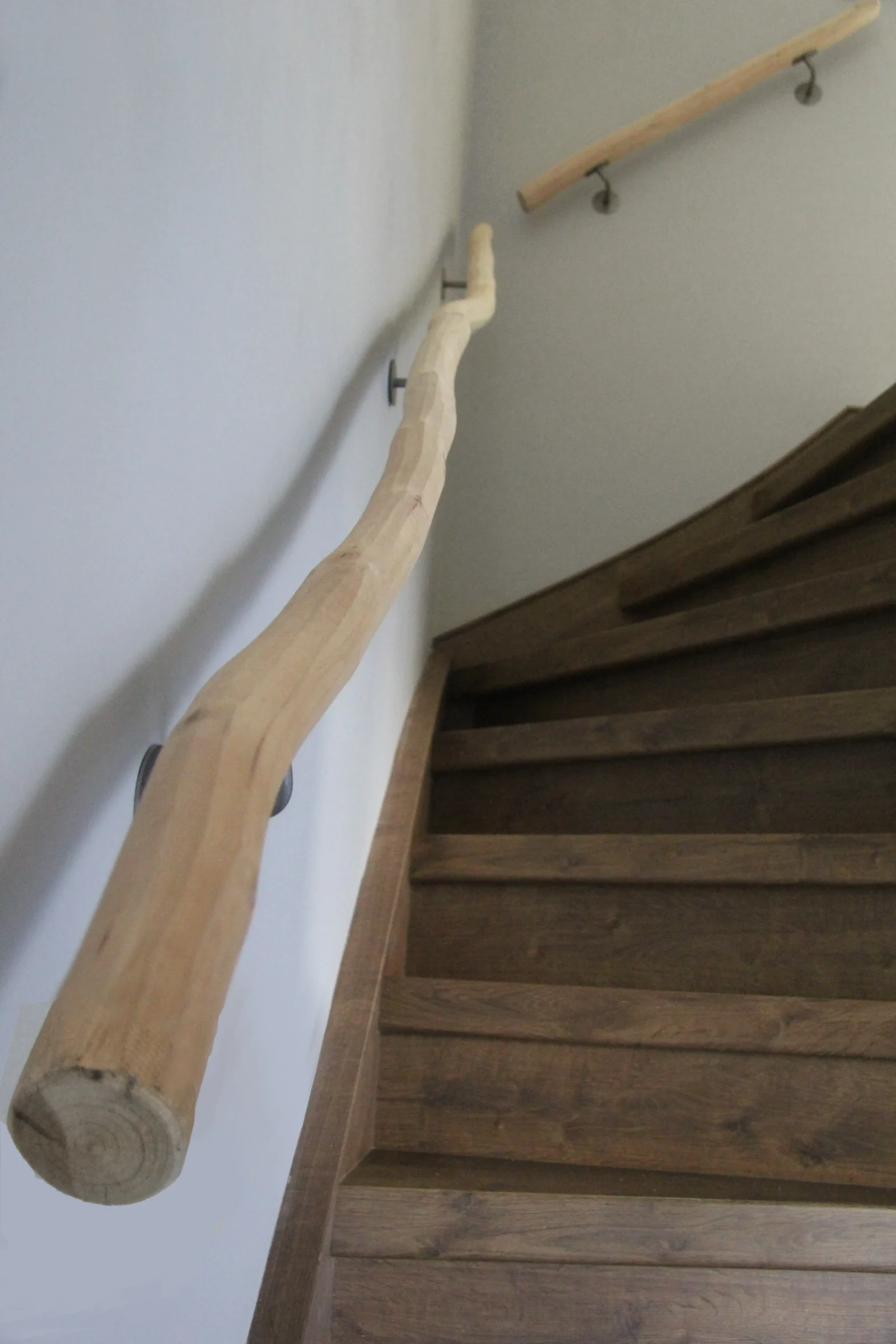 Boomstam Trapleuning Naturel kromming (2)