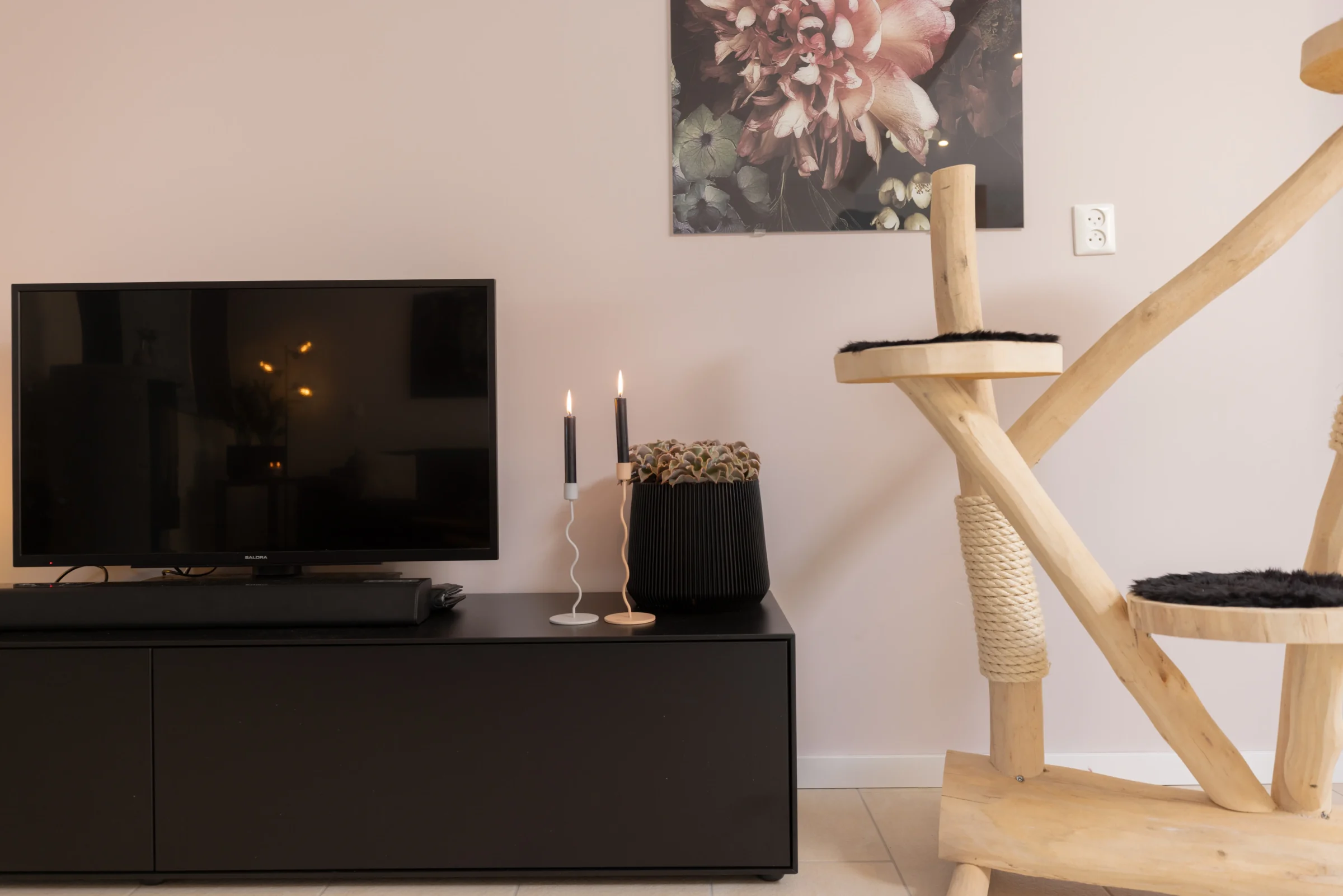 Boomstam krabpaal in woonkamer