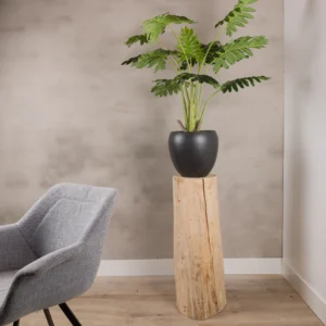 Boomstam zuil Naturel (6)