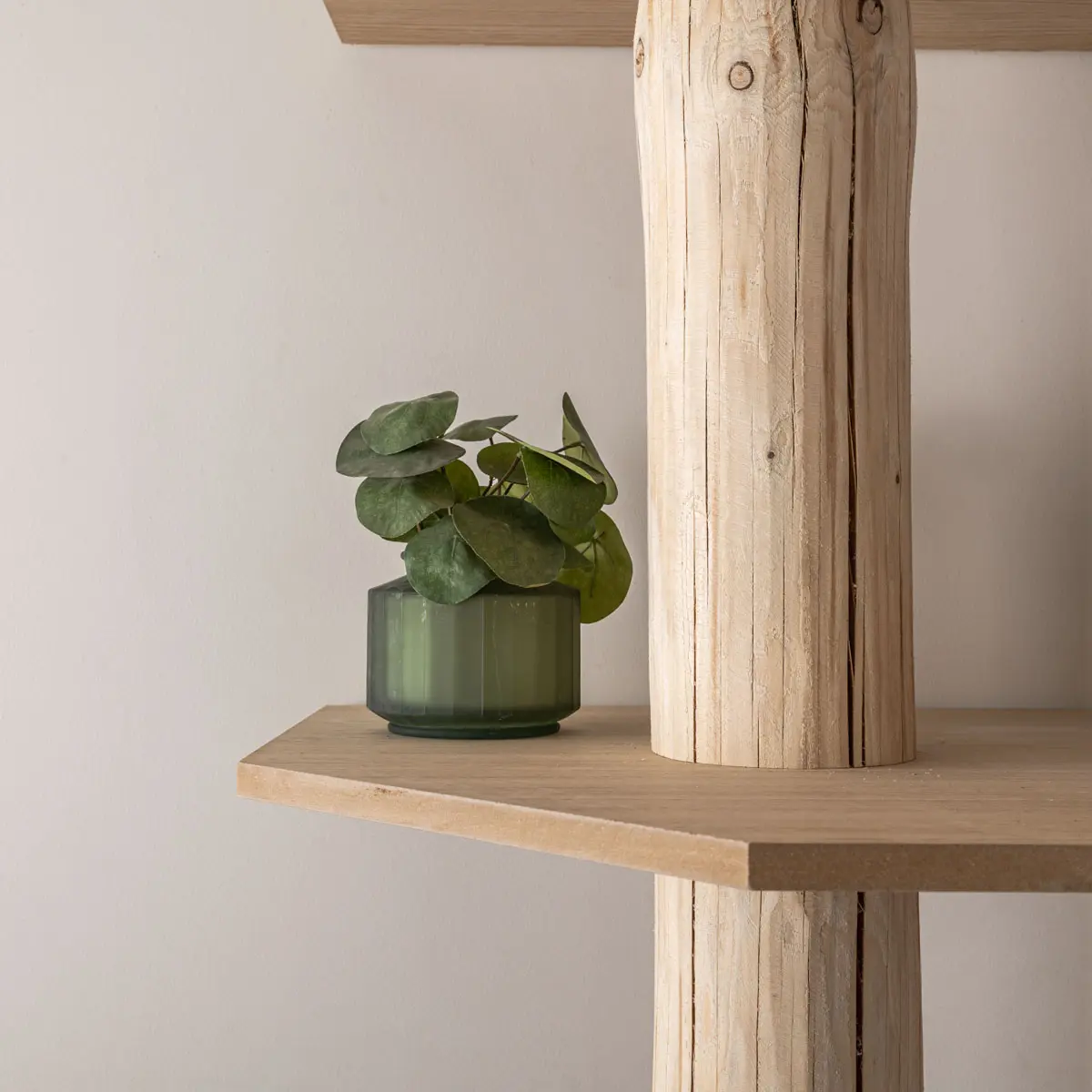 Boomstamhoekkast Tarik Naturel 250cm (5)