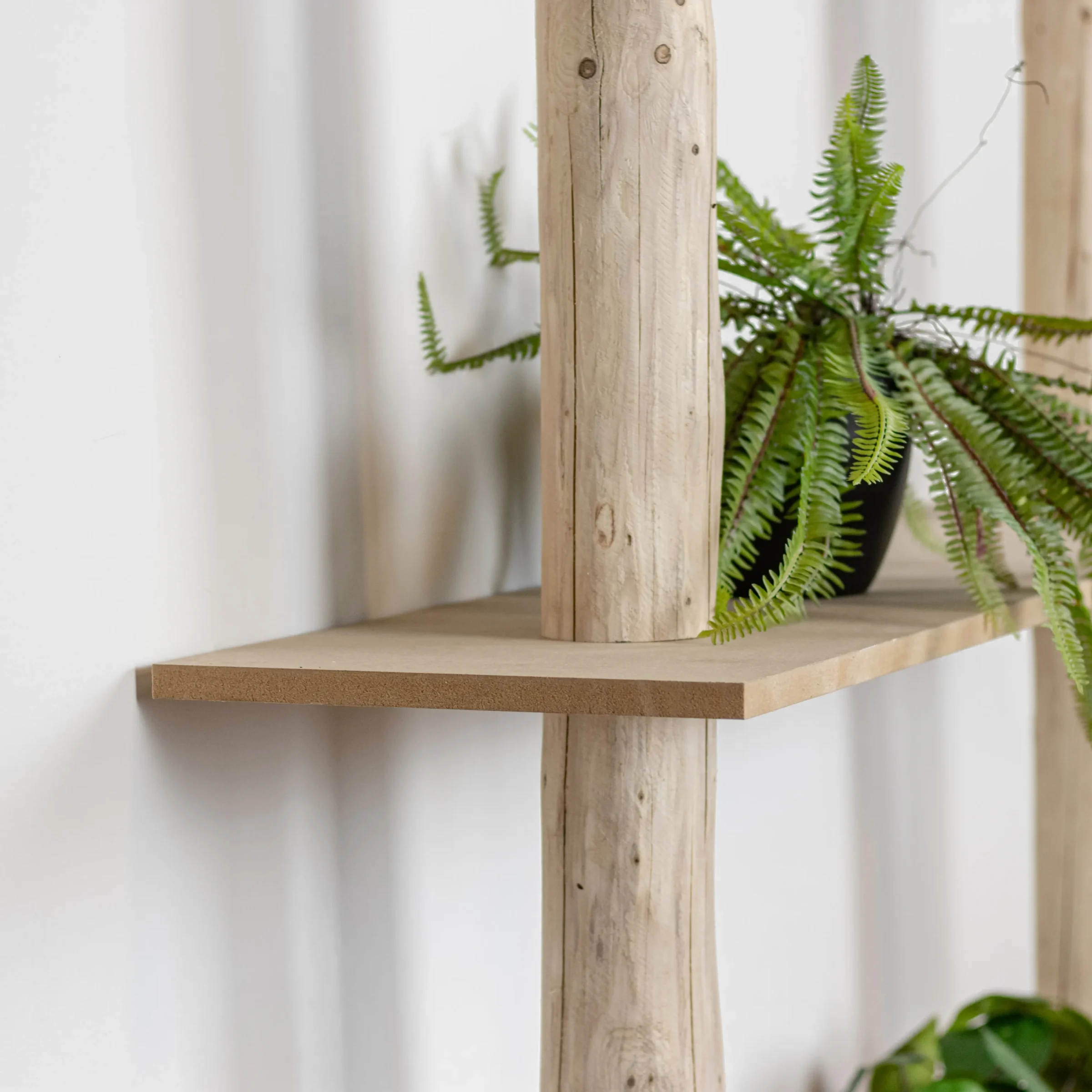 Boomstamwandkast Cedric Naturel 250cm (3)