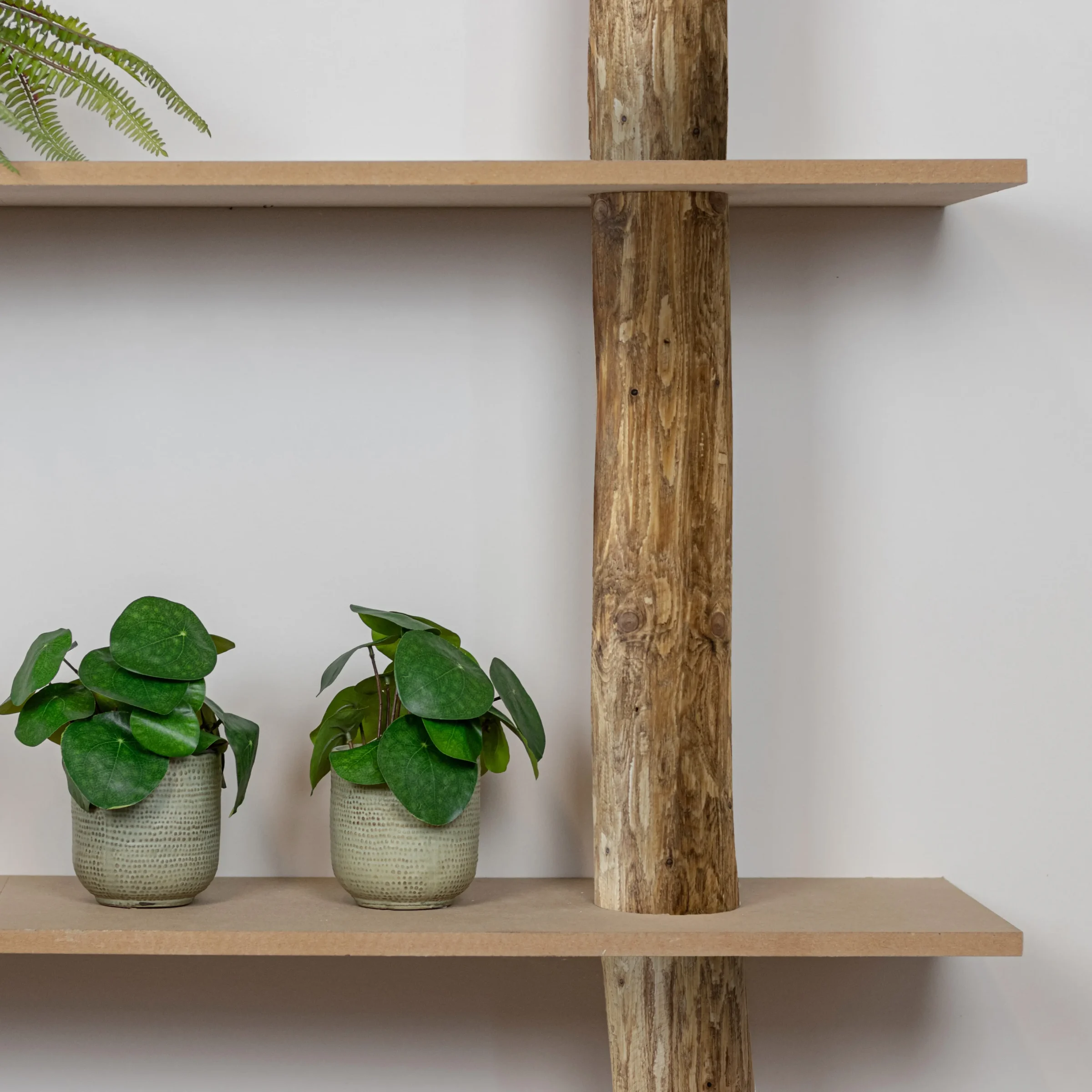 Boomstamwandkast Cedric OakNaturel 250cm (6)