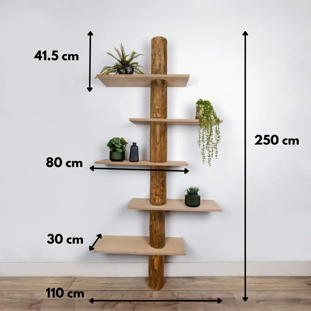 Boomstamwandkast Einar OakNaturel 250cm, afmetingen