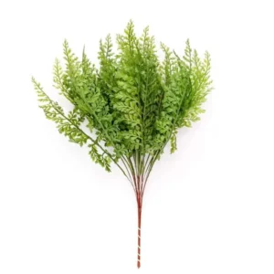 Bosje varenblad fijn 40cm