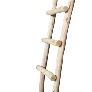 Decoratie ladders