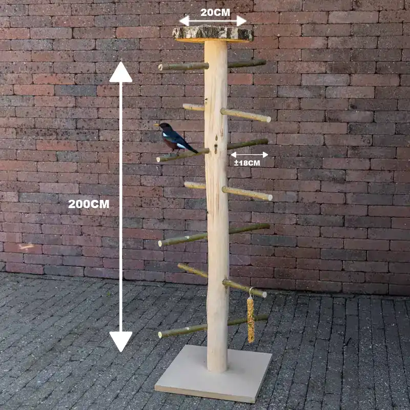 CoCo-voederplateau-afmetingen-200cm
