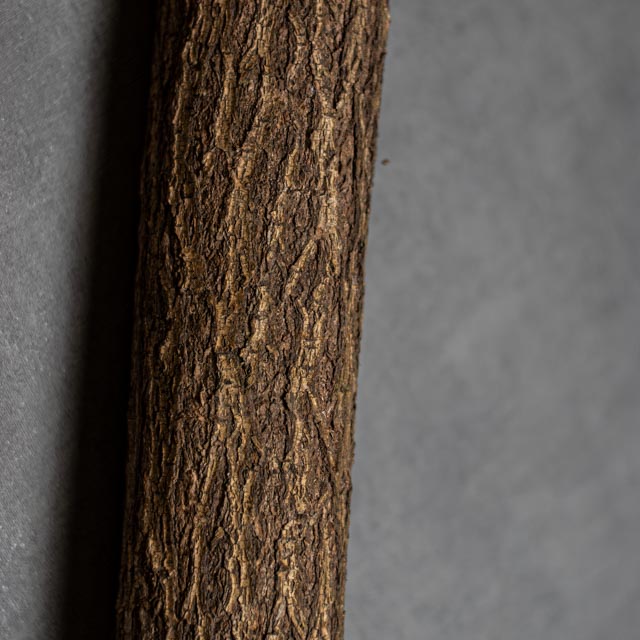 DSC_0174-Verbeterd-NR