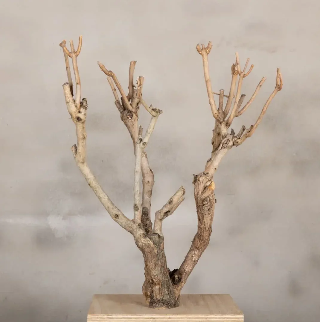 Decoboompje Naturel 50-60cm (1)